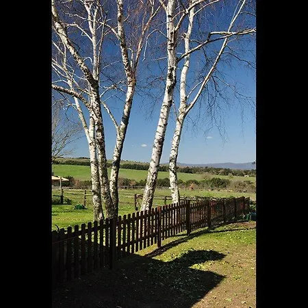 Bed & Breakfast La Tana Di Zio Edo 3*