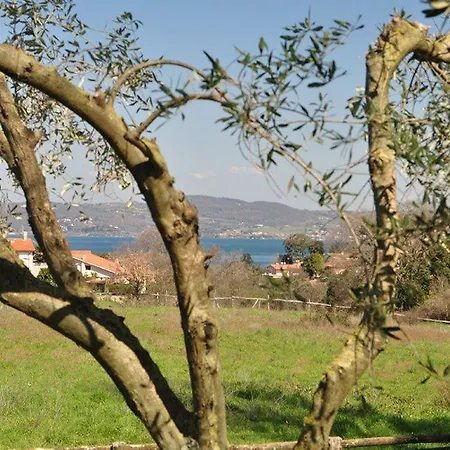La Tana Di Zio Edo